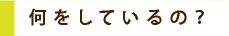 何をしているの？