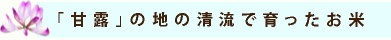 「甘露」の地の清流で育ったお米